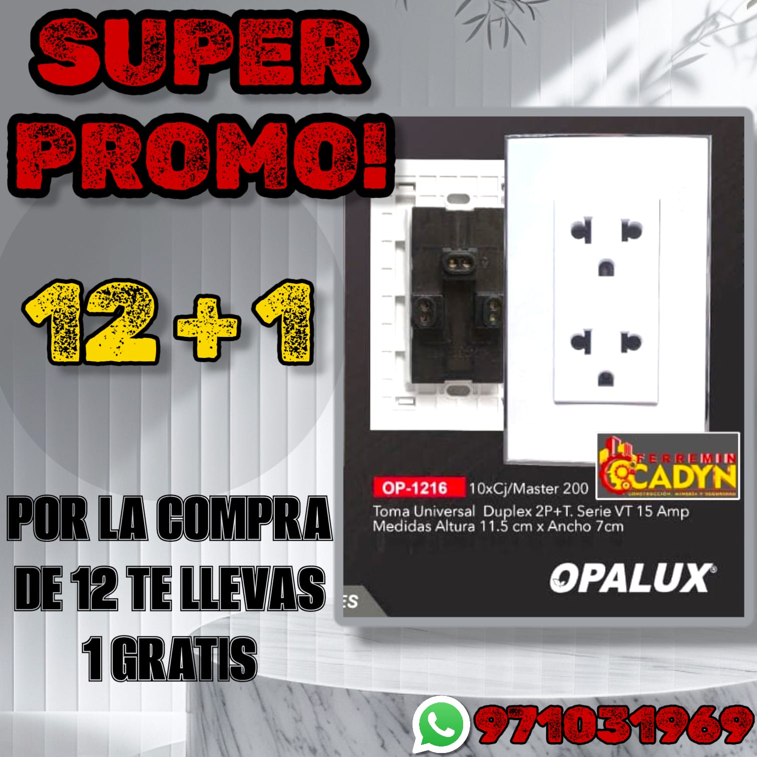 WhatsApp Image 2026-01-13 at 17.49.34